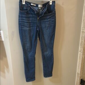 Universal Thread Blue Skinny Jeans